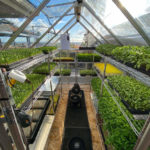 Scintilla Farms Green House in San Diego
