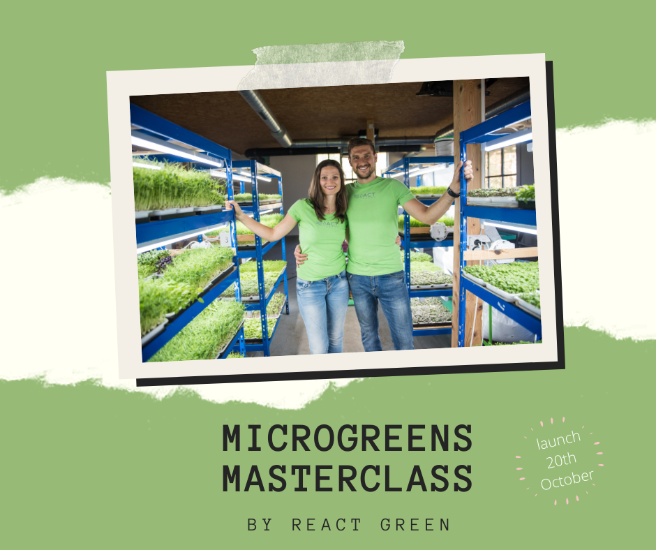 Microgreens Course by ReactGreen