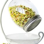 sprouting jars 2