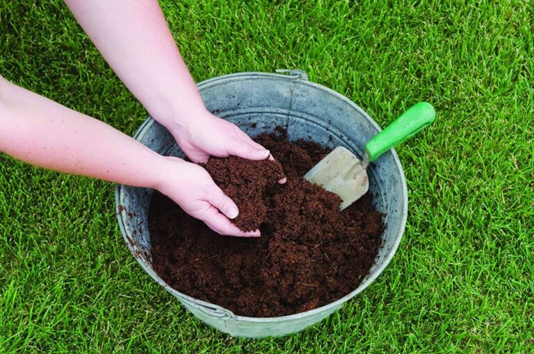 The Best Soil for Microgreens What to Look For (And What to Avoid